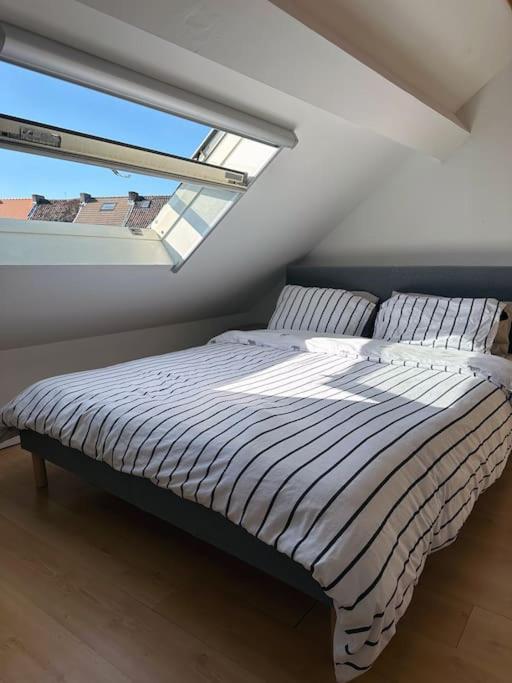Vila Large Quiet Whole House Near Historic Gent Centre Exteriér fotografie